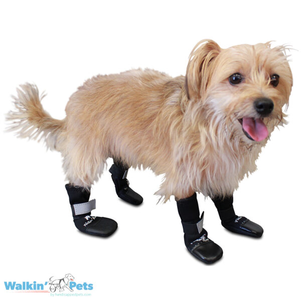 Walkin’ Dog Boots
