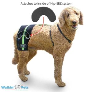 canine hip subluxation solution