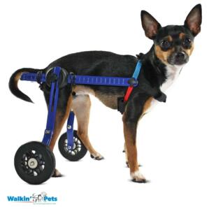 Walkin' Wheels MINI Dog Wheelchair