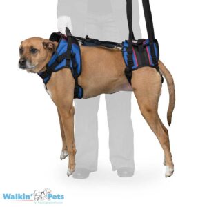 Walkin’ Lift Combo Harness – Front & Rear