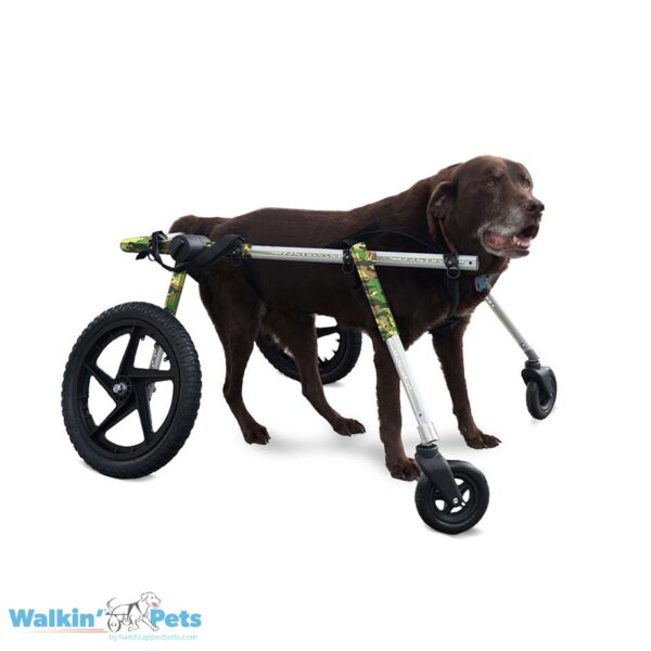 Quad wheelchair for large dogs