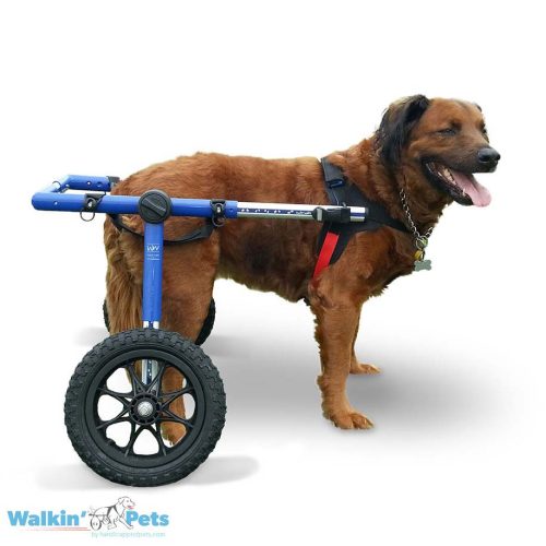 Dog wheelchair for large dog
