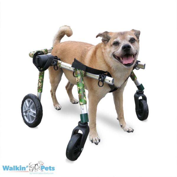 Full support dog wheelcahir for medium pets