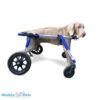 Large 4-wheel wheelchair for large dog