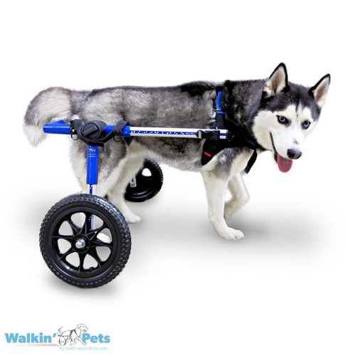 Walkin' Wheels Medium dog wheelchair