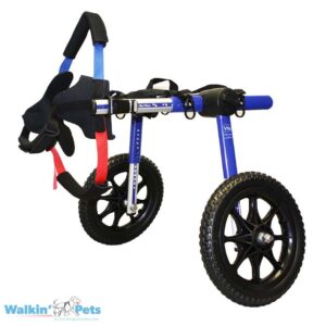 Walkin Wheels Medium dog wheelchair blue