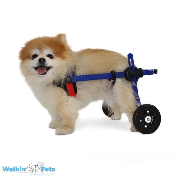 Mini Walkin Wheels dog wheelchair B2