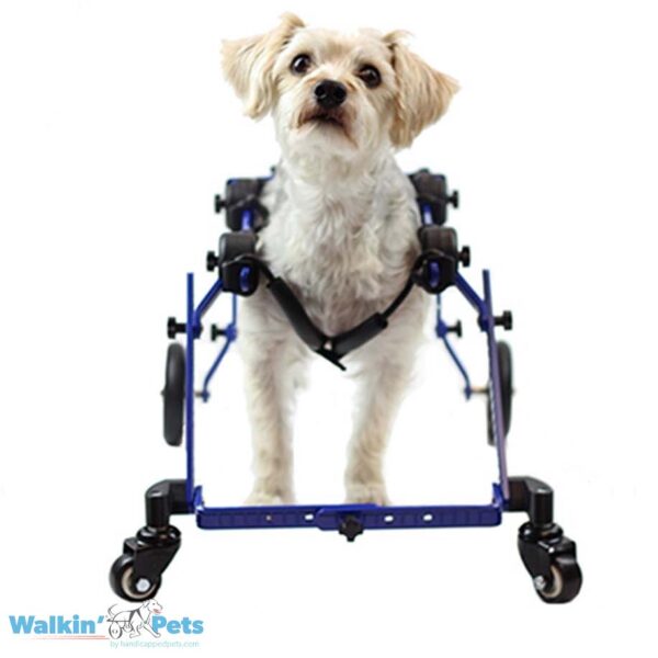 Fully supportive dog wheelchair for mini dogs