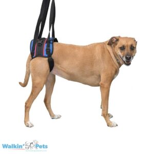 Walkin’ Lift Combo Harness – Rear