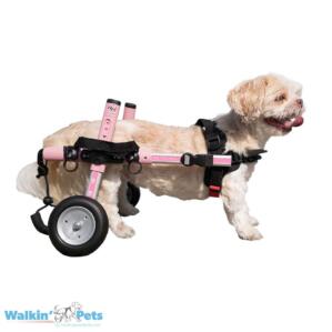 Pink small dog wheelchair
