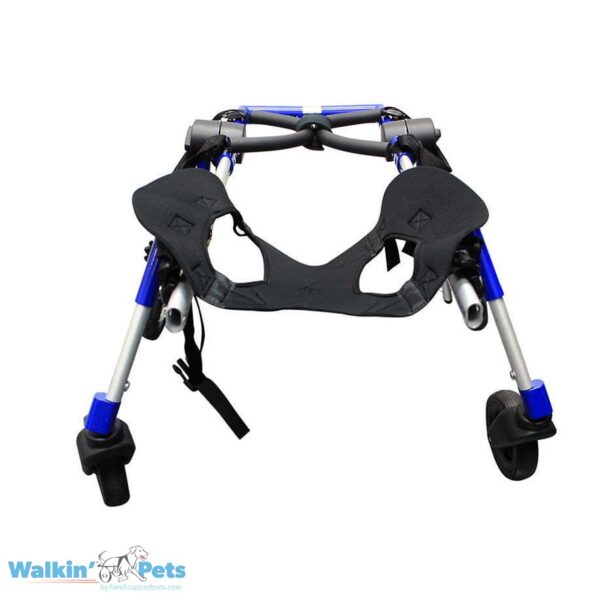 Walkin’ Wheels Front Neoprene Harness