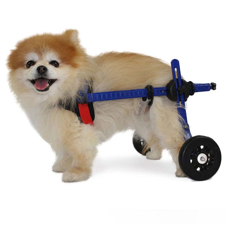 mini rear wheelchair