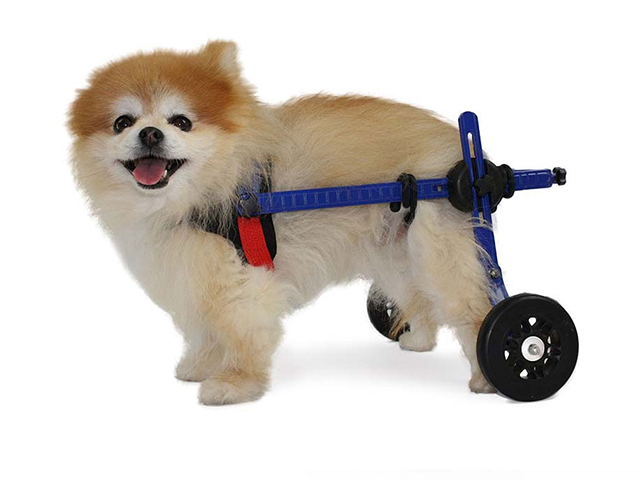 mini rear wheelchair