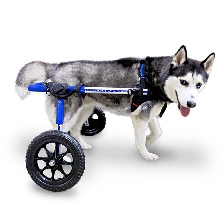 medium blue rear wheelchair