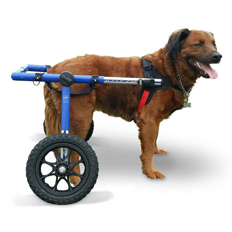 large blue rear wheelchair