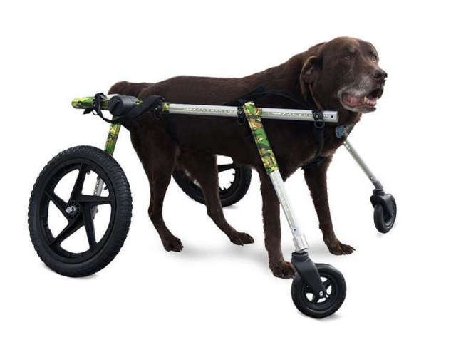 large camo quad wheelchair