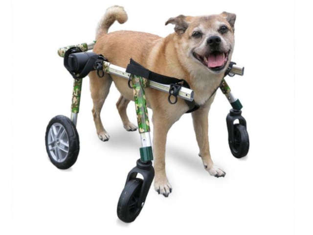 medium camo quad wheelchair