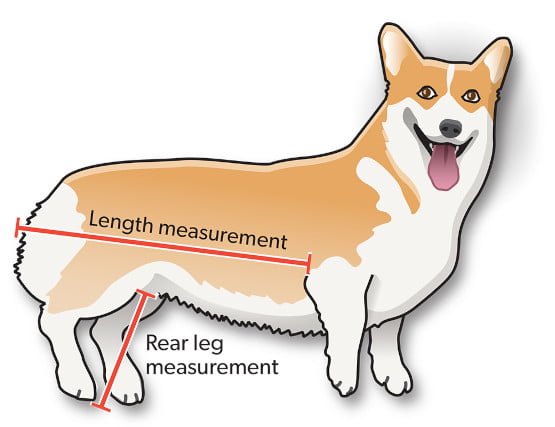 pet measurement guide