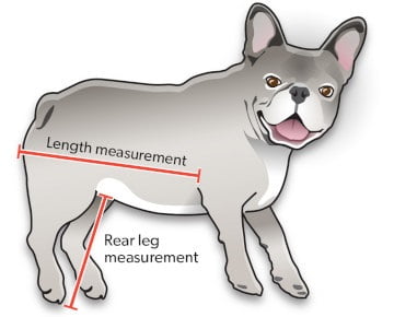 Measuring Your Pet