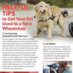 Get Used to Wheelchair PDF thumbnail