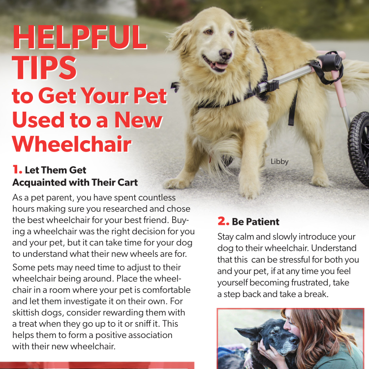 Getting Used to Your Pet Wheelchair Resource Guide Preview