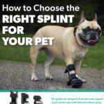 choosing a splint guide thumbnail