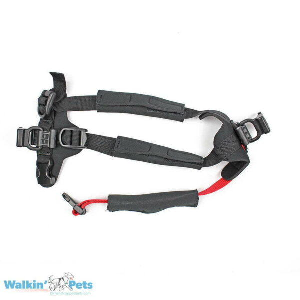 front harness