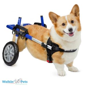 Walkin’ Wheels CORGI Dog Wheelchair