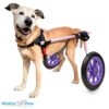 purple foam wheels on dog wheelchair