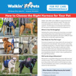 How to choose the right harness preview